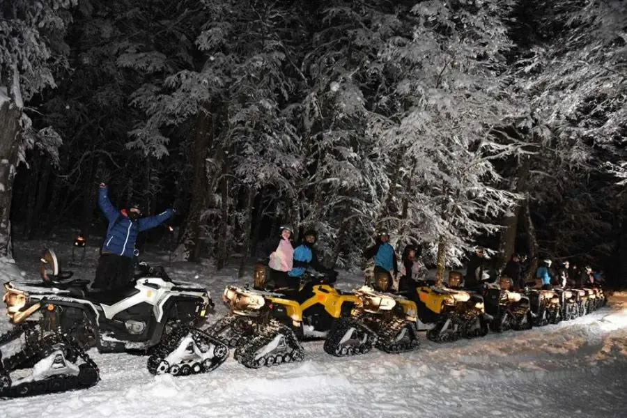 Paisaje de montaña 28