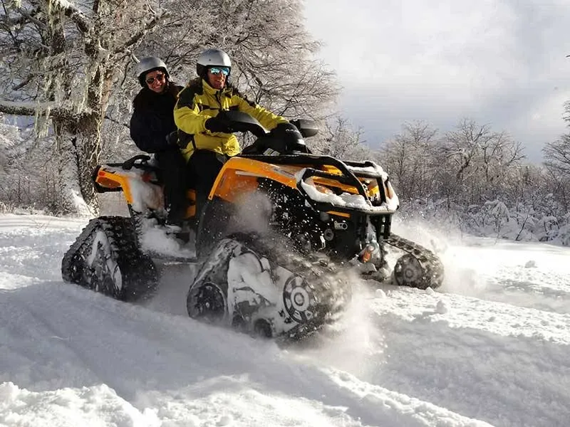 Paisaje de montaña 4