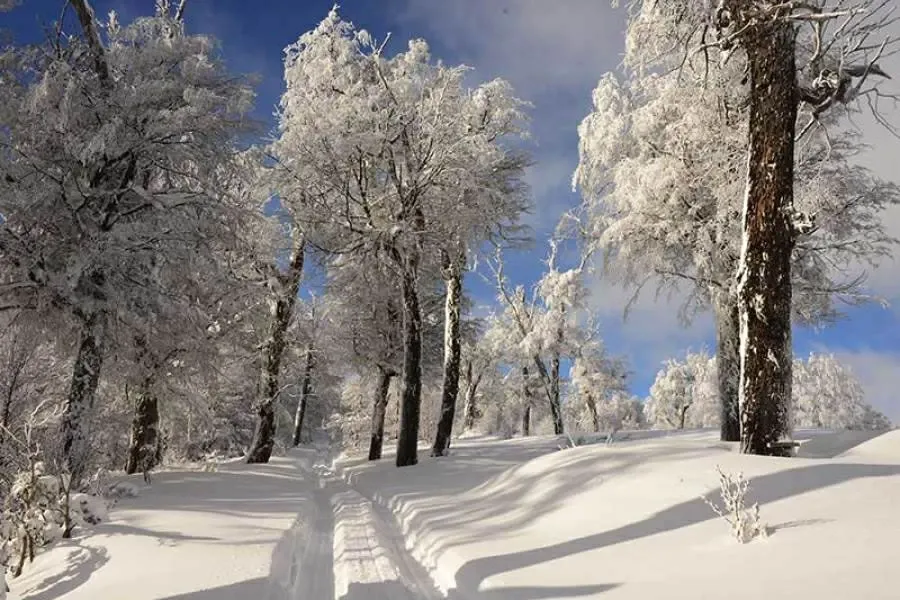 Paisaje de montaña 5