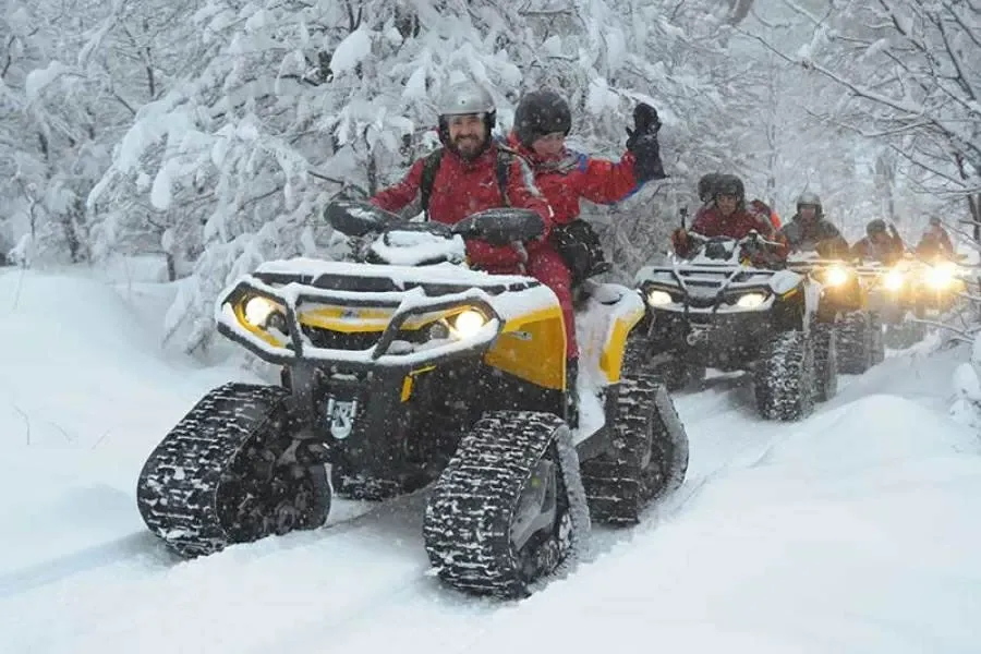 Paisaje de montaña 8