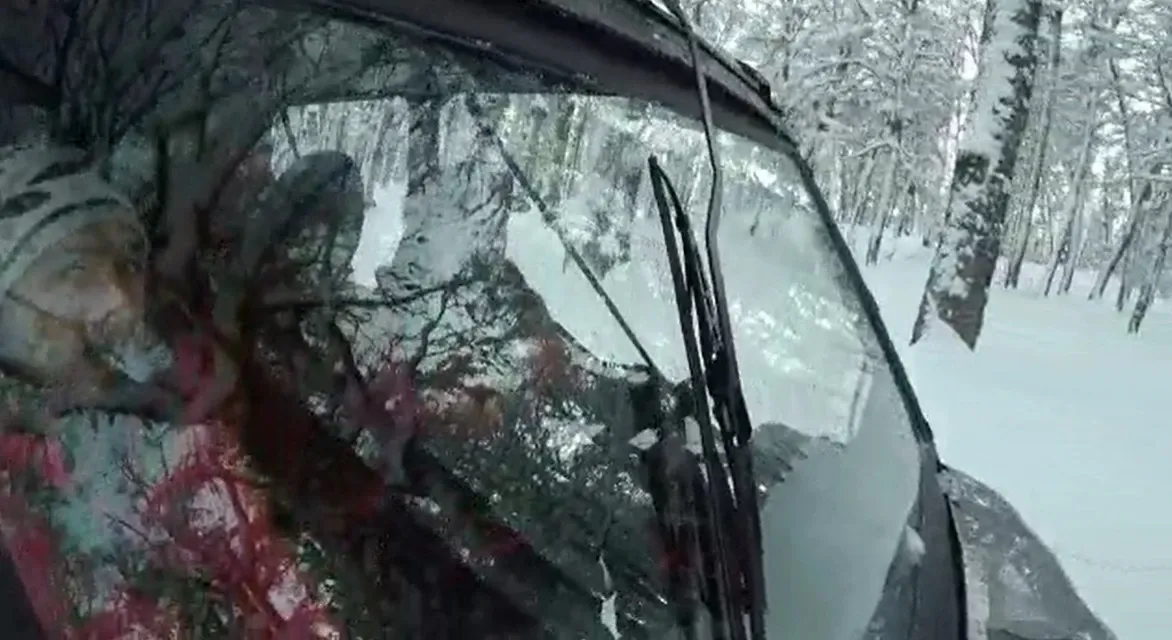 Paisaje de montaña 13