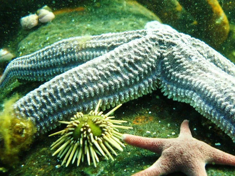 Paisaje de montaña 8