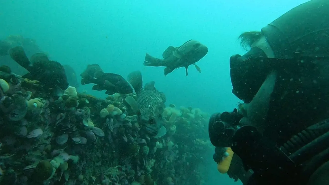 Paisaje de montaña 10