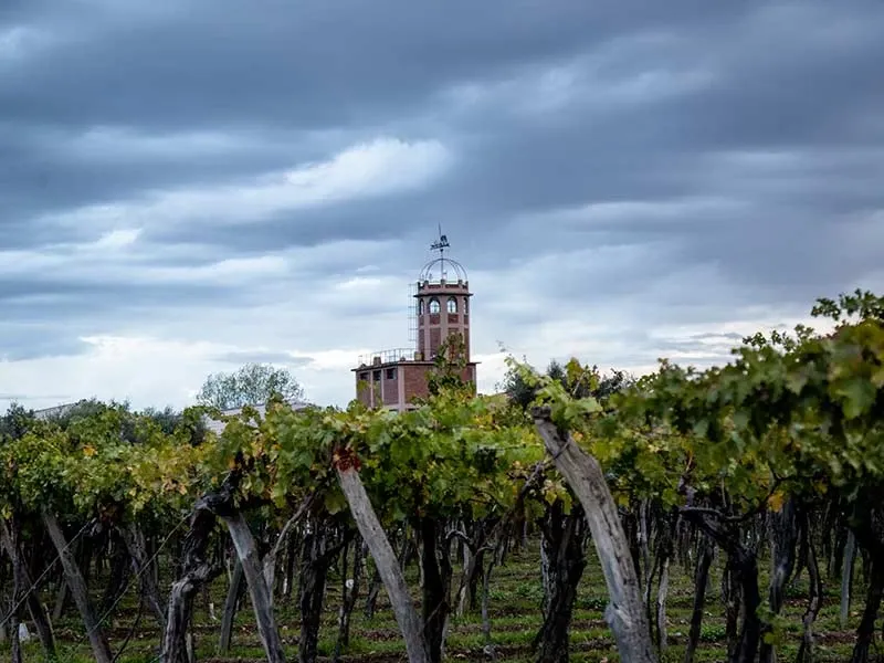 Paisaje de montaña 4