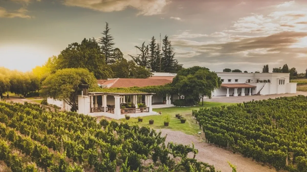 Paisaje de montaña 12