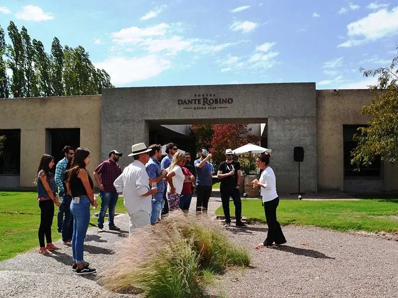 Paisaje de montaña 4