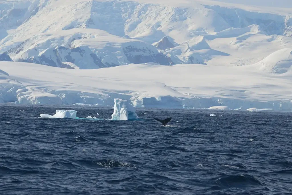 Paisaje de montaña 17