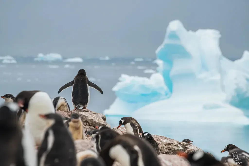 Paisaje de montaña 20