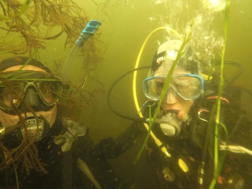 Paisaje de montaña 5