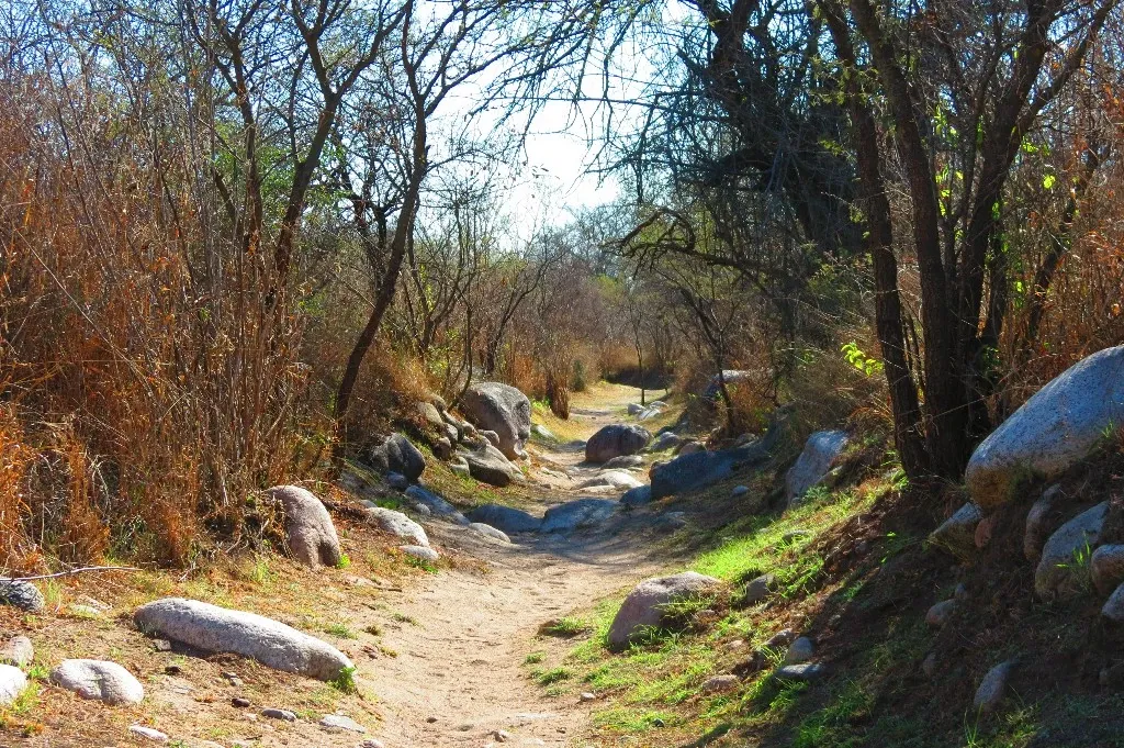 Paisaje de montaña 4