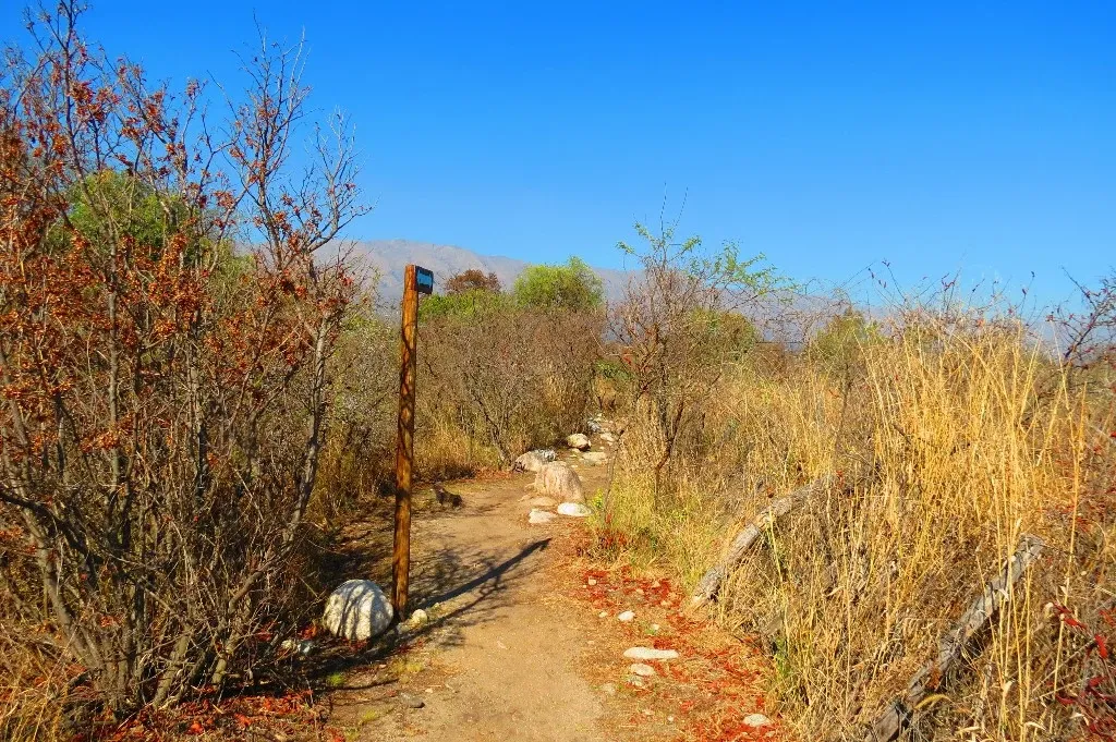 Paisaje de montaña 5