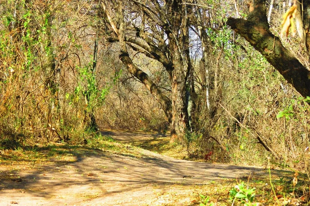 Paisaje de montaña 6