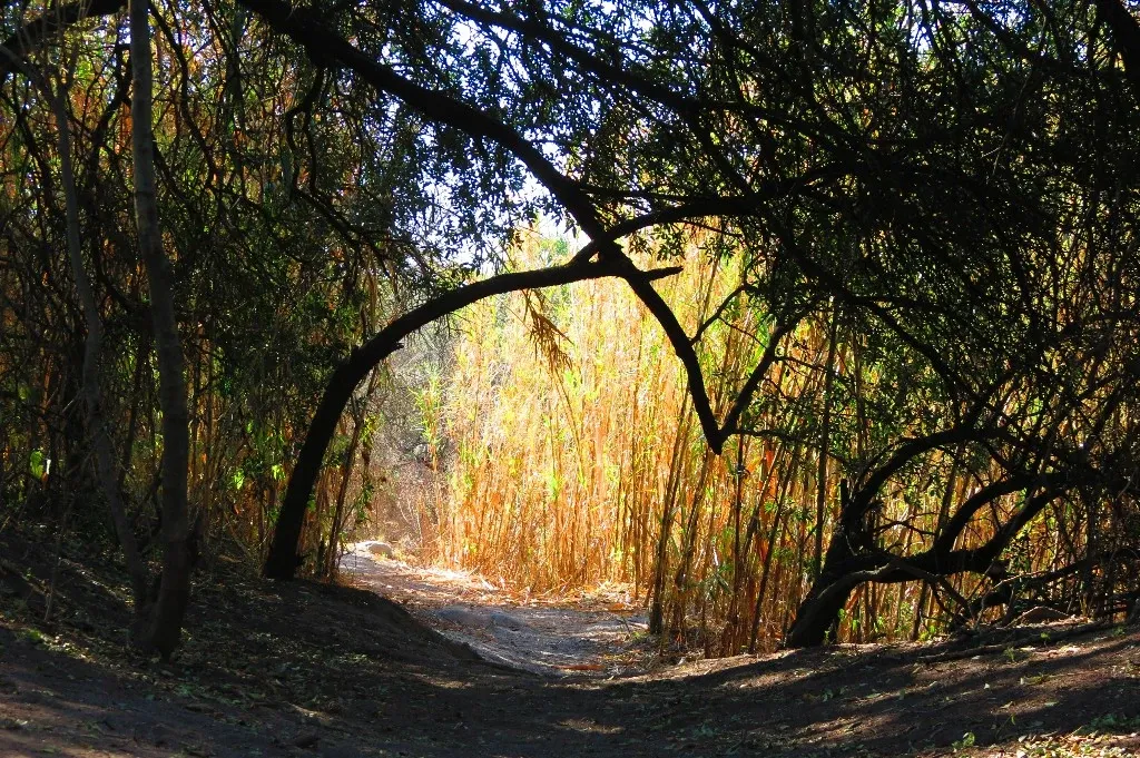 Paisaje de montaña 7