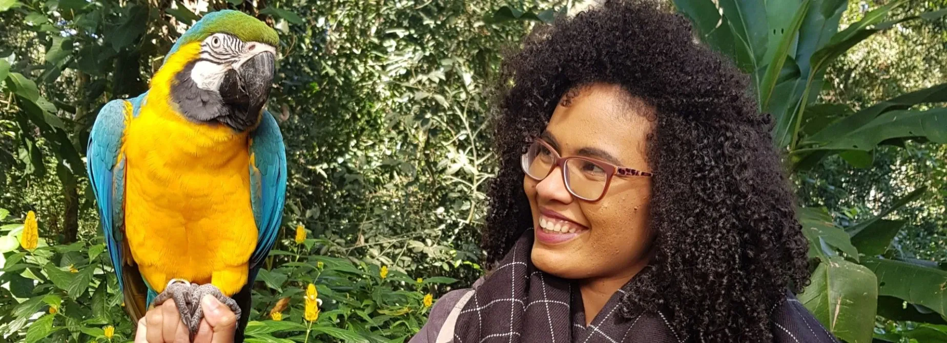 Paisaje de montaña 15