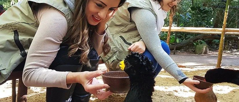 Paisaje de montaña 16