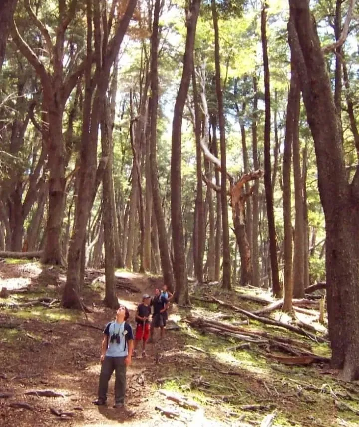 Paisaje de montaña 6