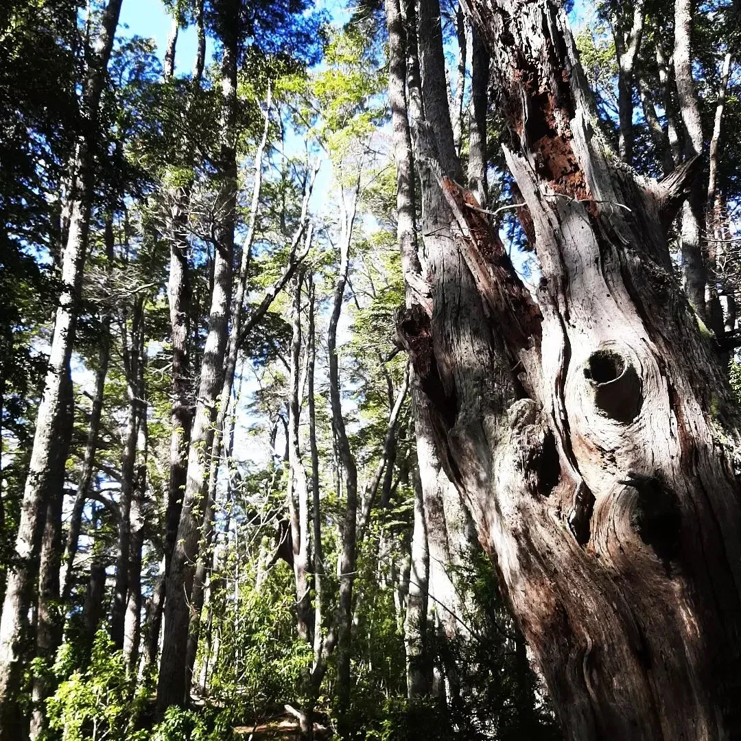 Paisaje de montaña 8