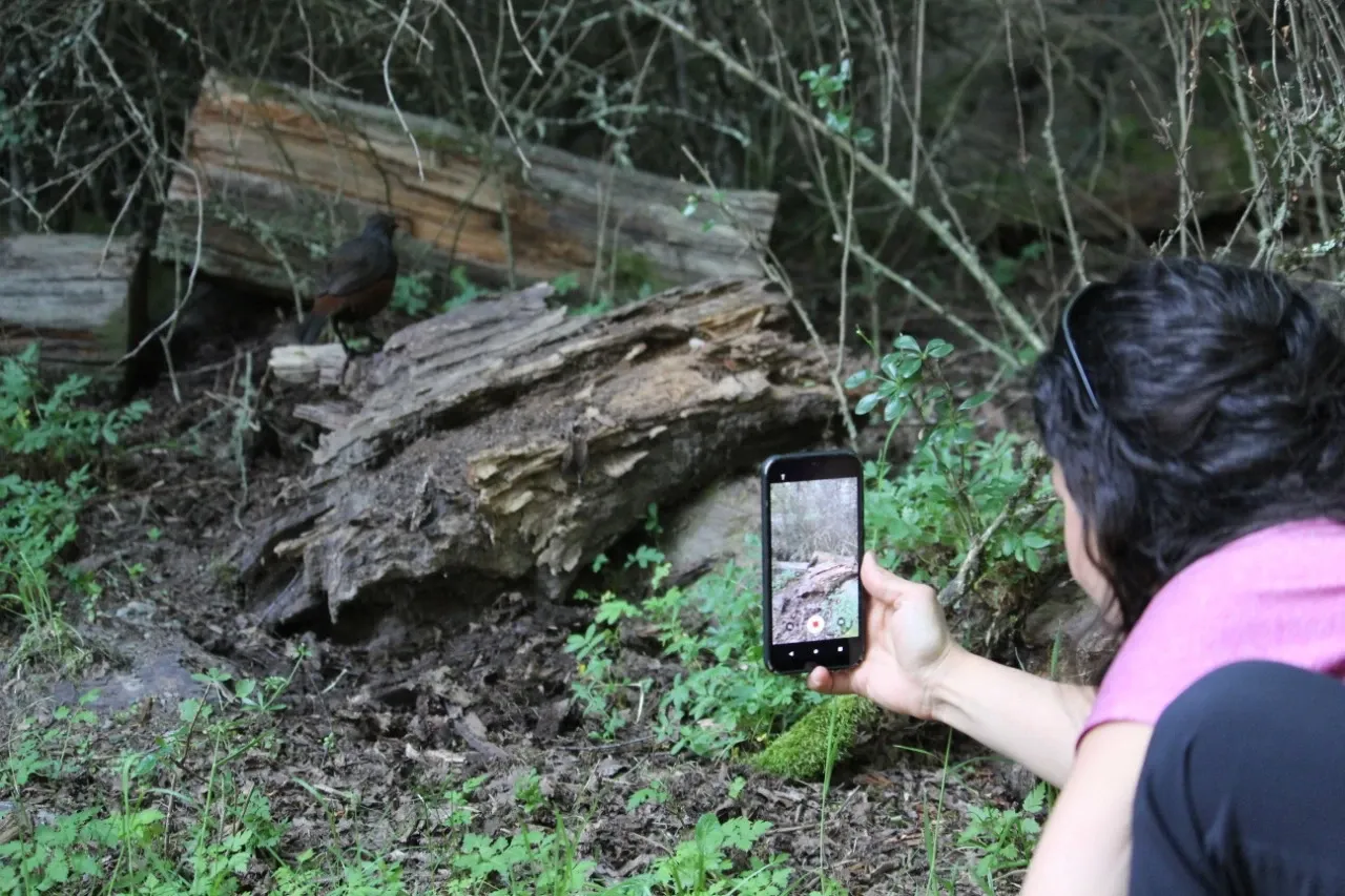 Paisaje de montaña 4