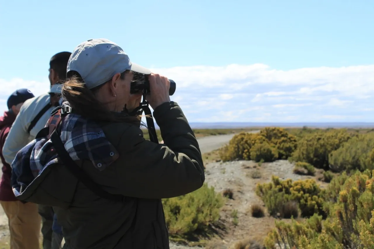 Paisaje de montaña 5