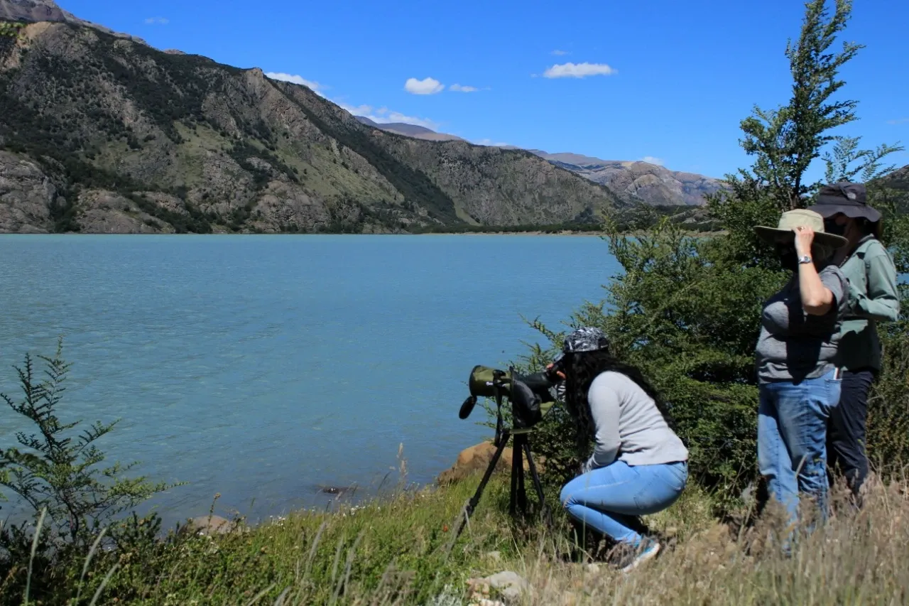 Paisaje de montaña 9