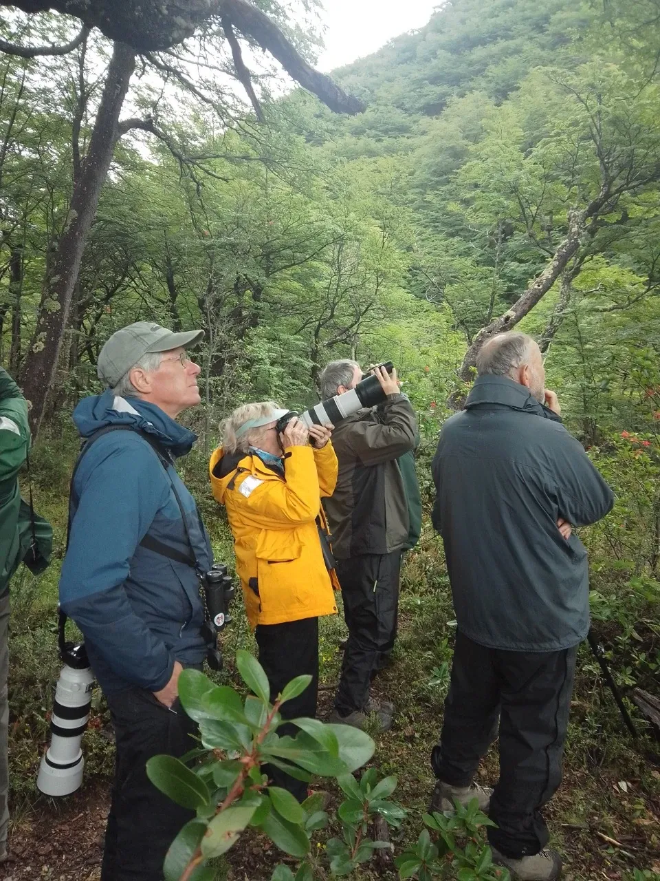 Paisaje de montaña 16