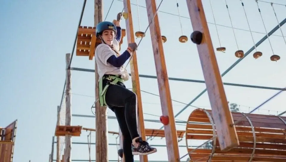 Paisaje de montaña 11