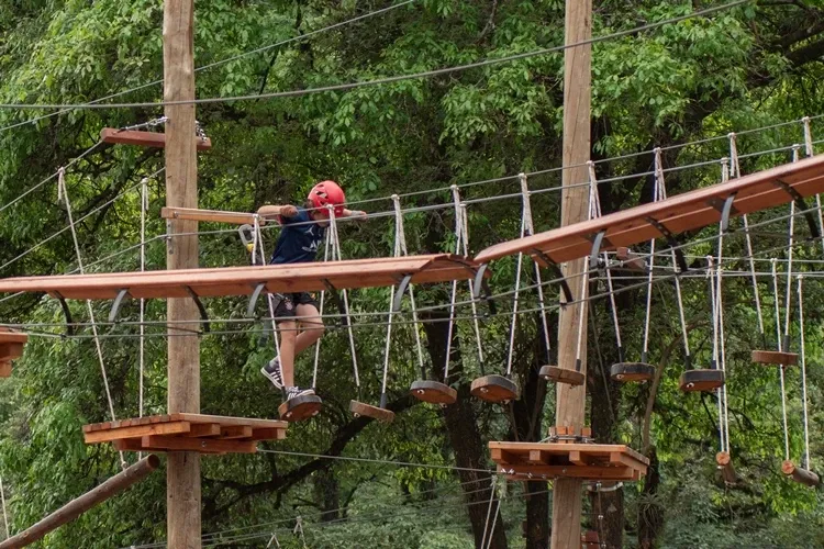 Paisaje de montaña 14