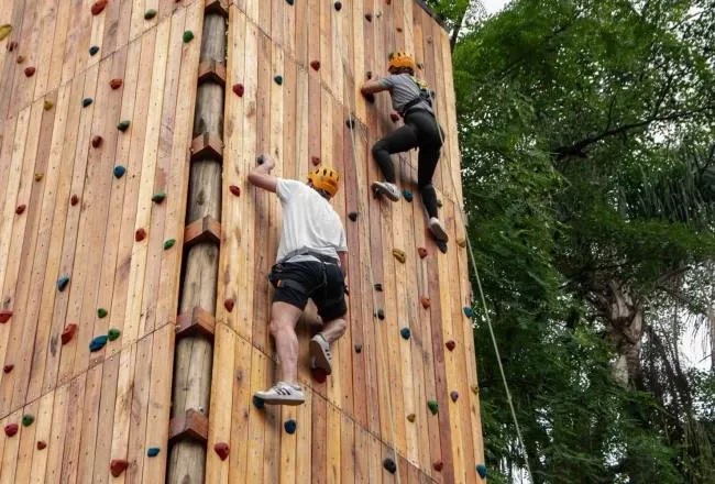 Paisaje de montaña 17