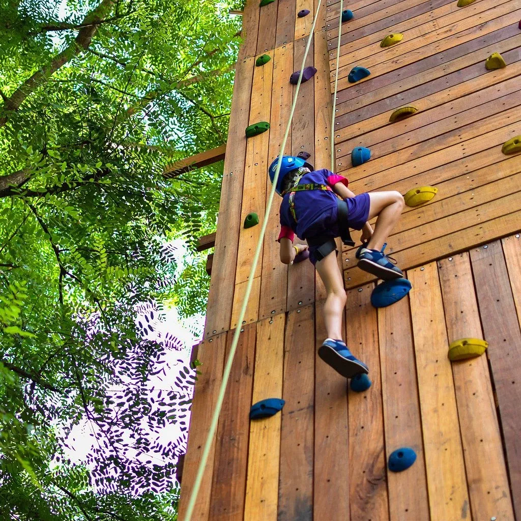 Paisaje de montaña 21