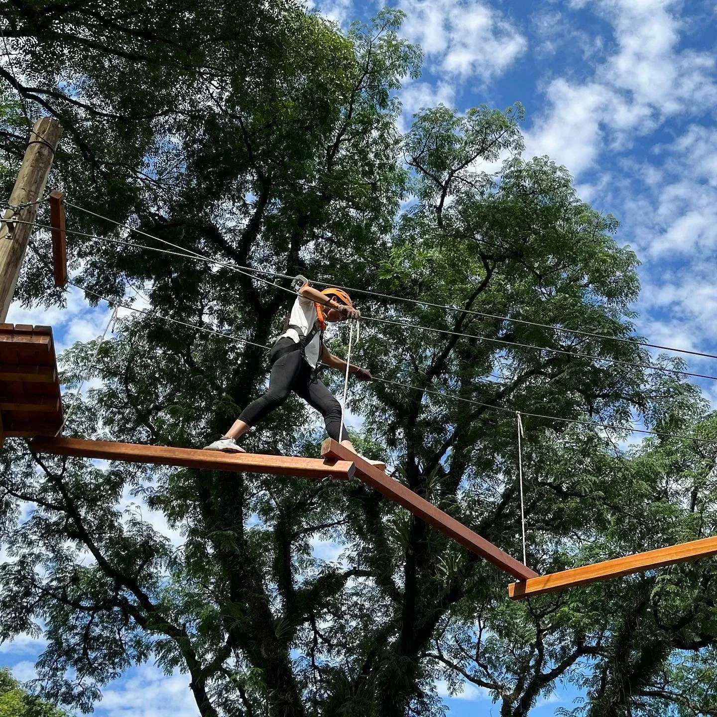 Paisaje de montaña 23