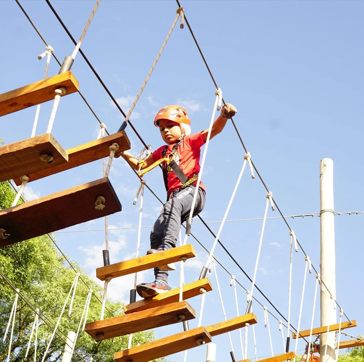 Paisaje de montaña 11