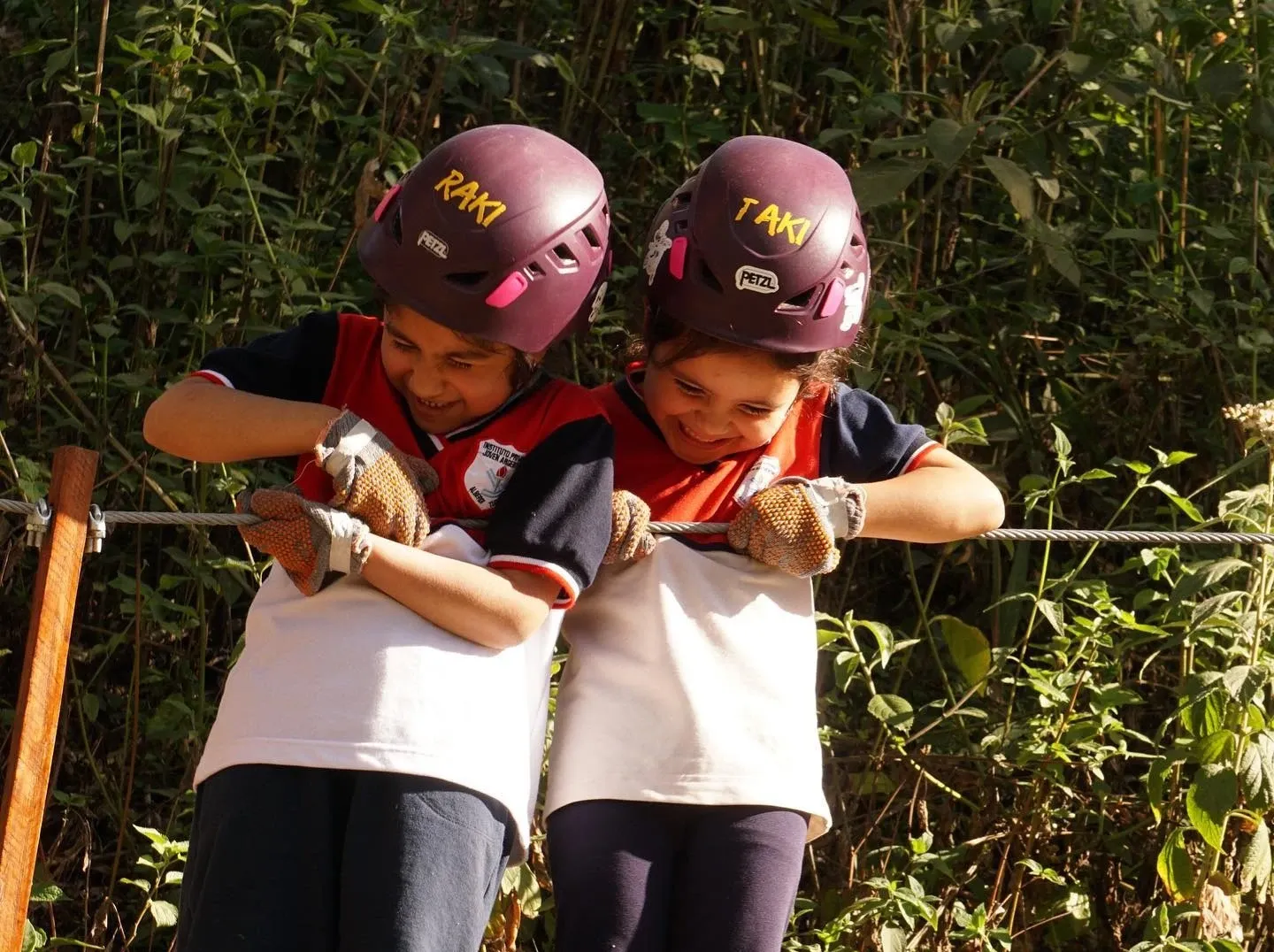 Paisaje de montaña 12