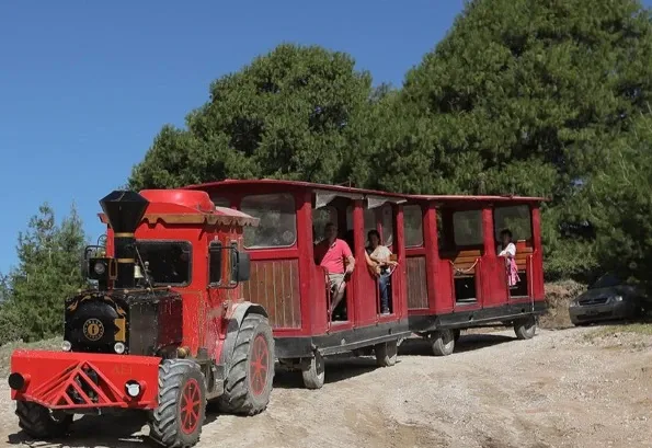 Paisaje de montaña 9