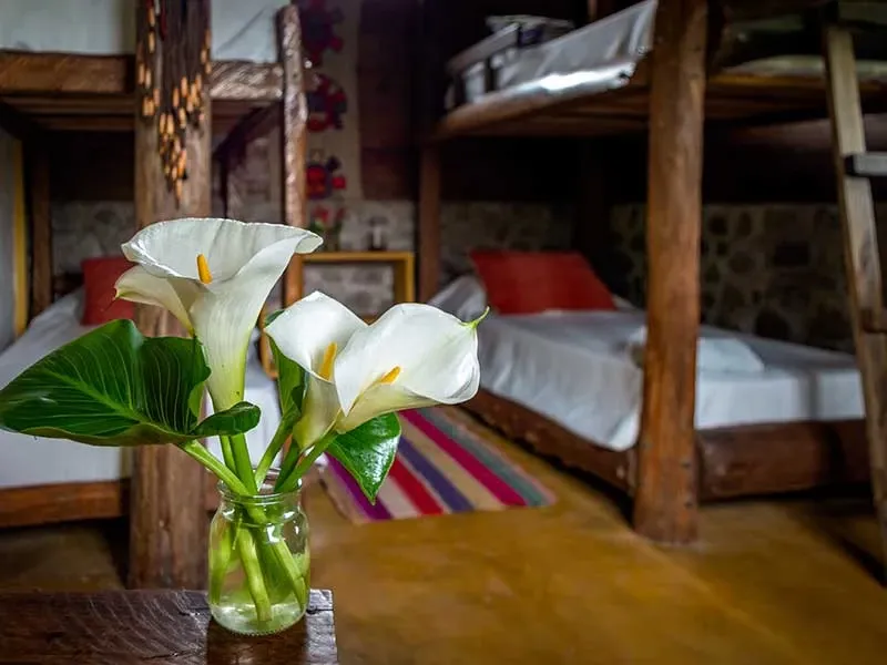 Paisaje de montaña 5