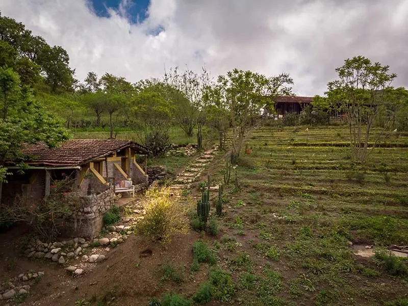 Paisaje de montaña 11