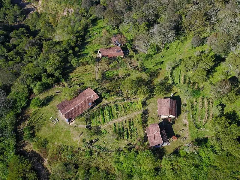 Paisaje de montaña 14