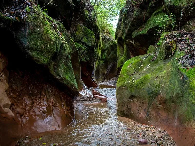 Paisaje de montaña 19