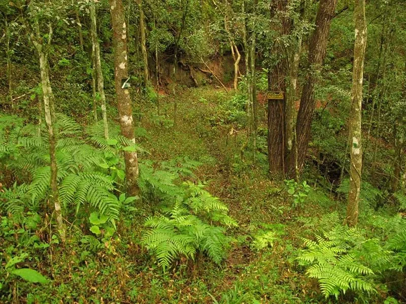 Paisaje de montaña 20