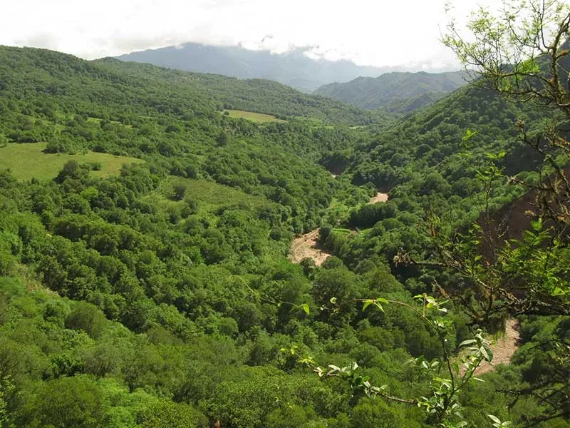 Paisaje de montaña 23