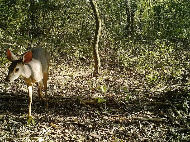 Paisaje de montaña 24