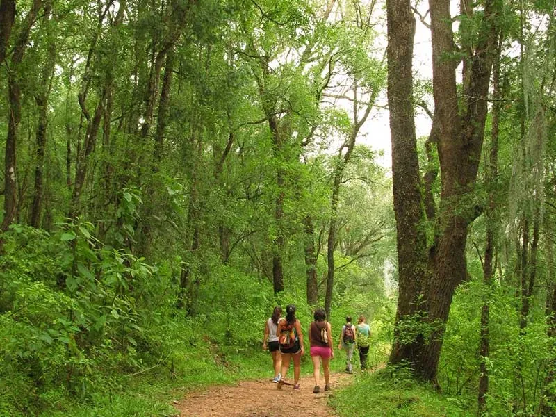 Paisaje de montaña 25