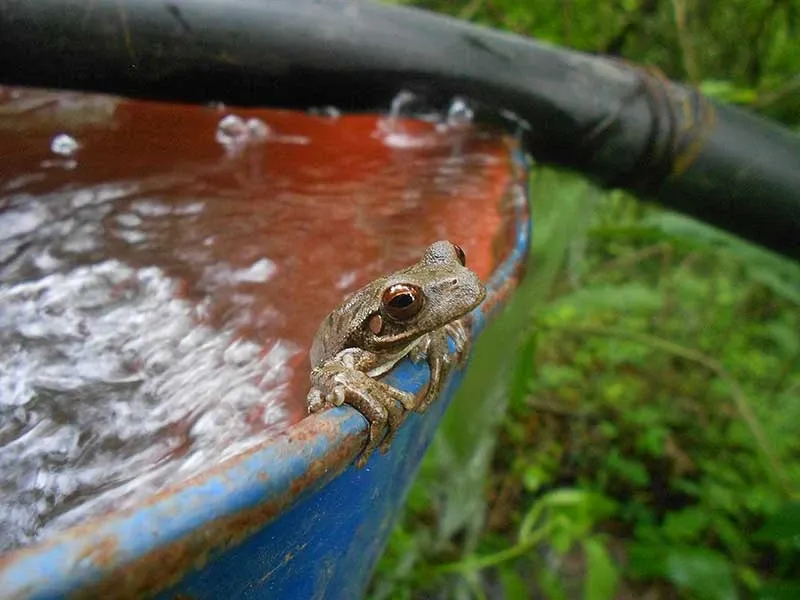 Paisaje de montaña 27