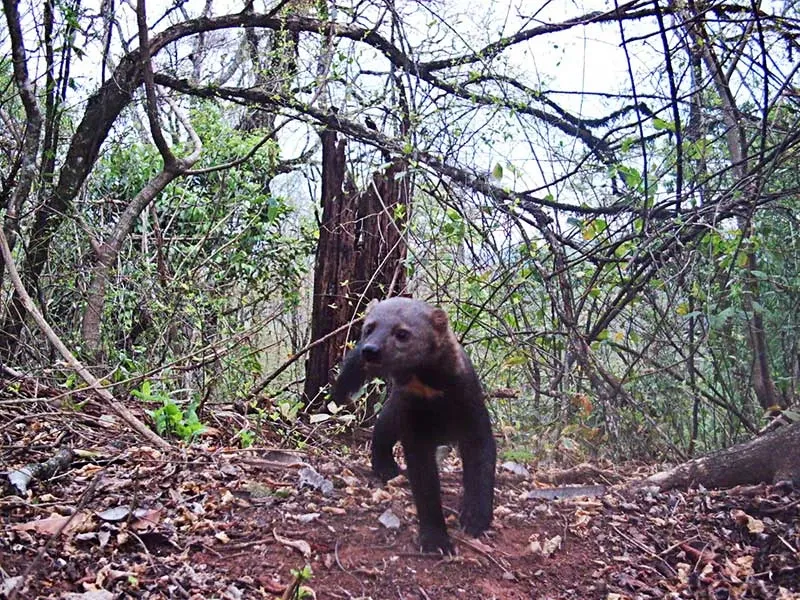 Paisaje de montaña 30