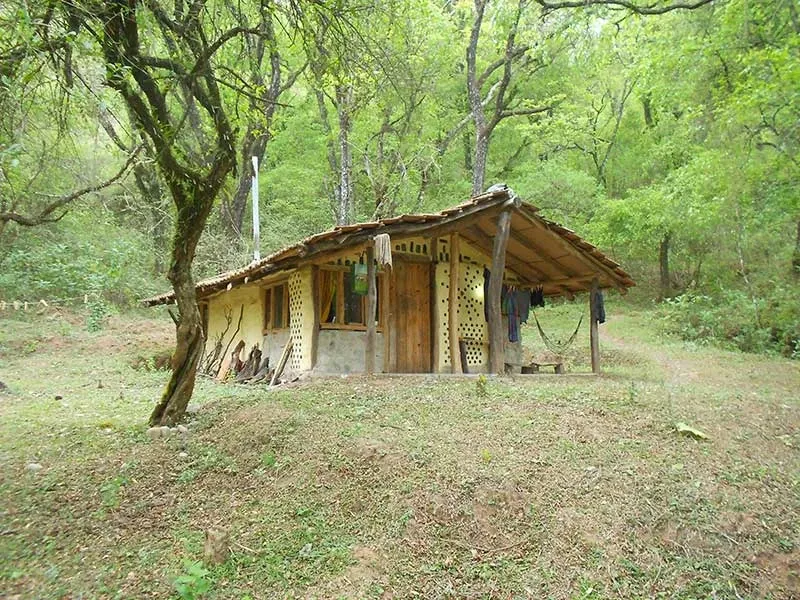 Paisaje de montaña 41