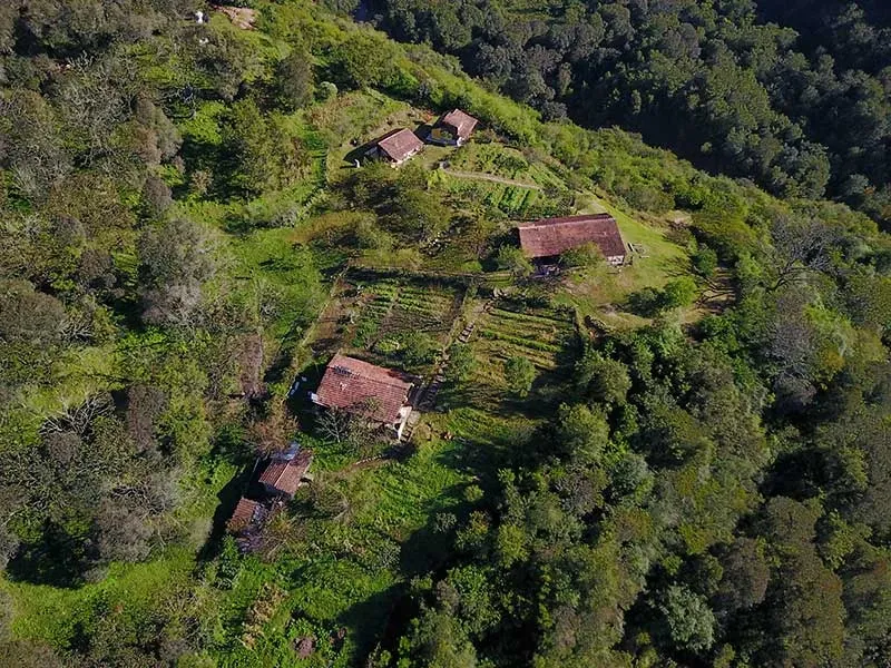 Paisaje de montaña 42