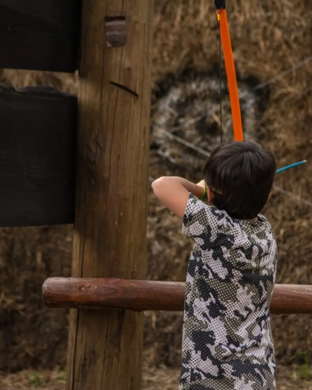 Paisaje de montaña 6