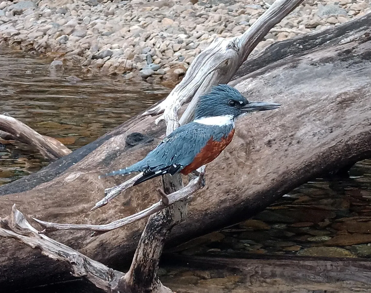 Paisaje de montaña 6