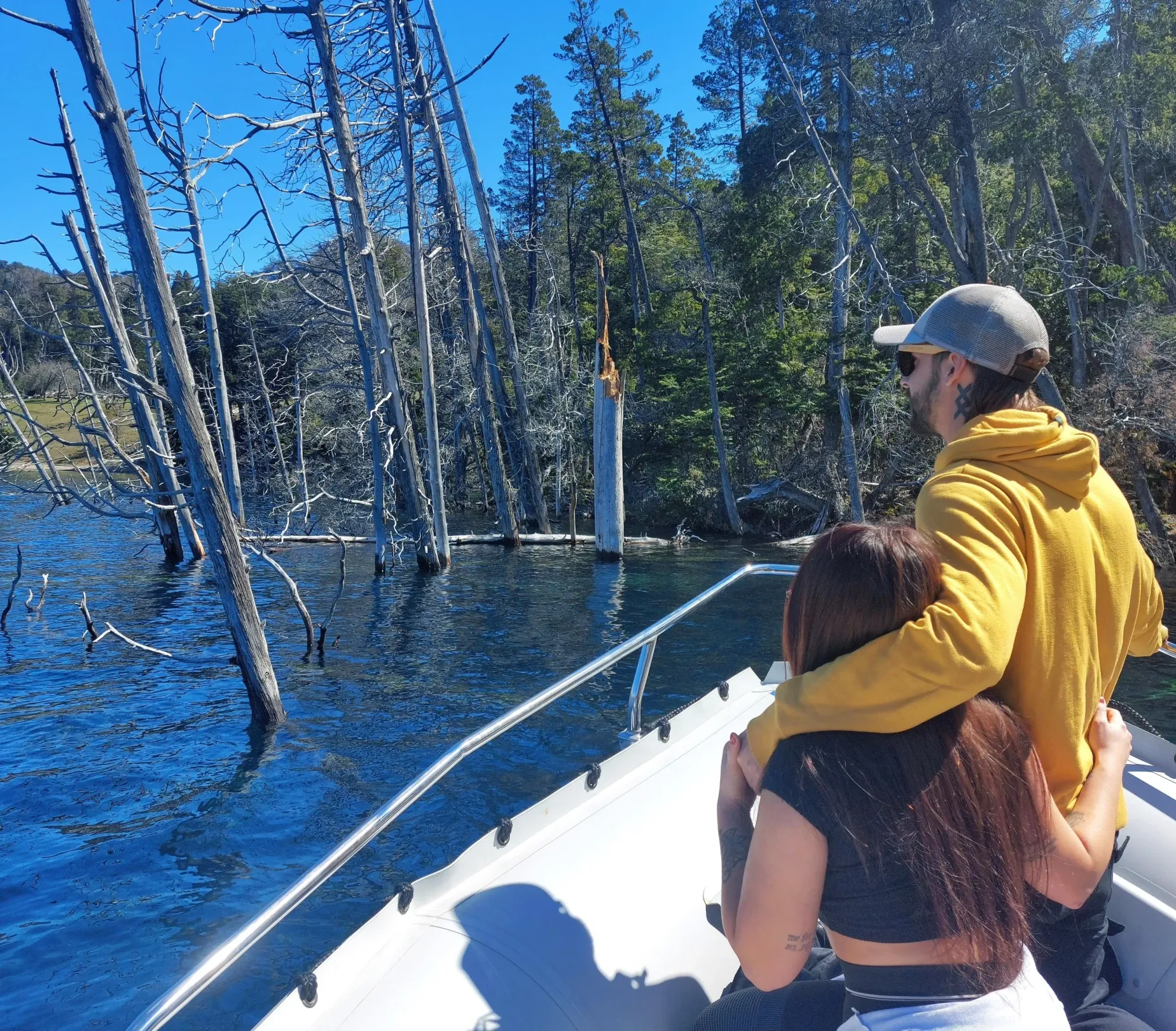 Paisaje de montaña 11