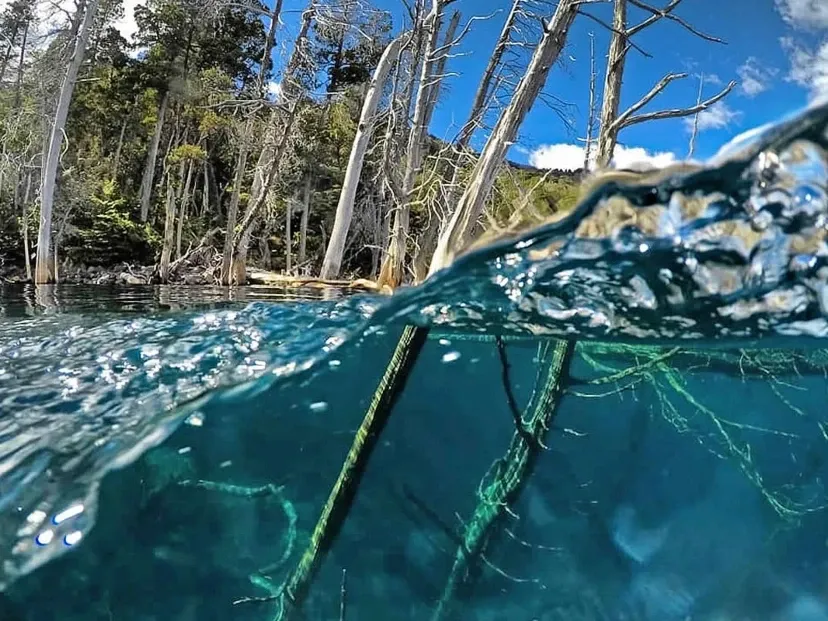 Paisaje de montaña 15