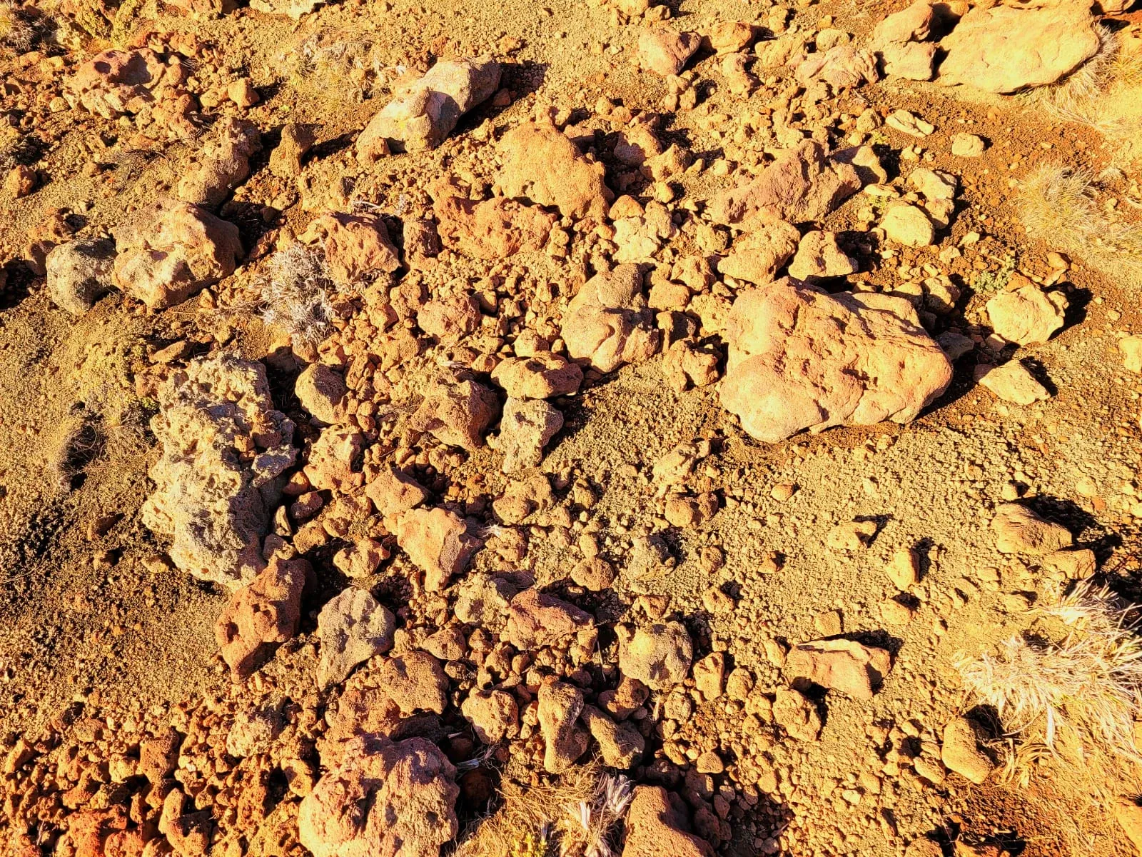 Paisaje de montaña 10